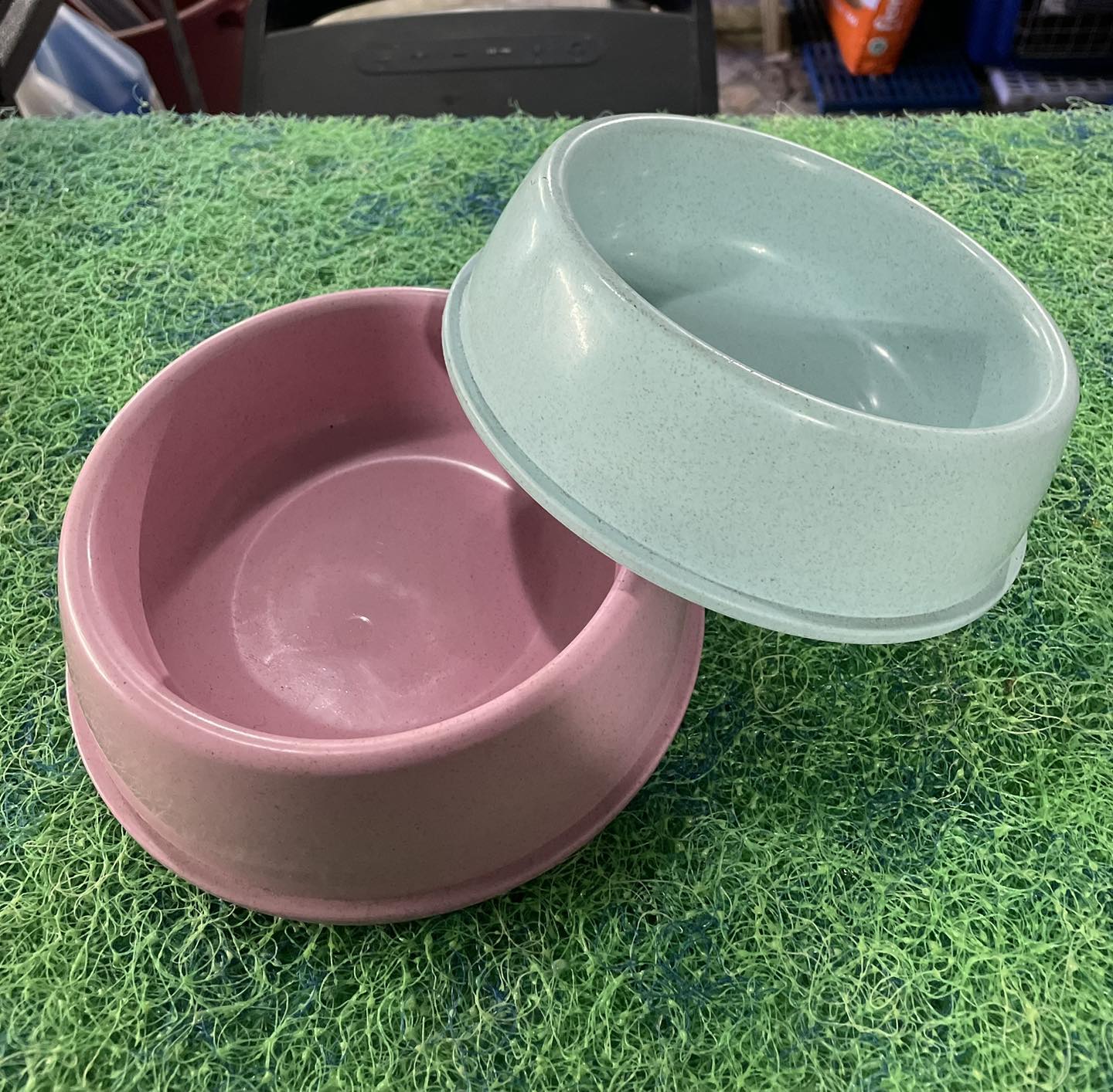 Cute Dog Bowl